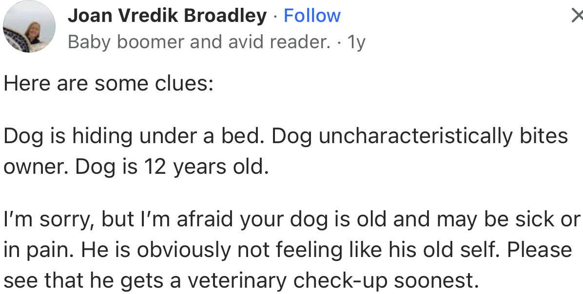 “I’m sorry, but I’m afraid your dog is old and may be sick or in pain.”