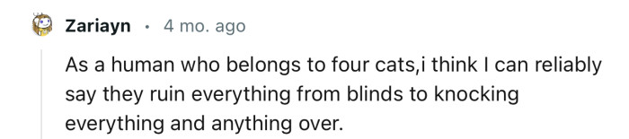 Cats are more destructive than some people like to admit