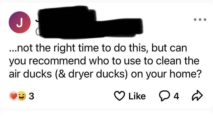 30. Dryer duck