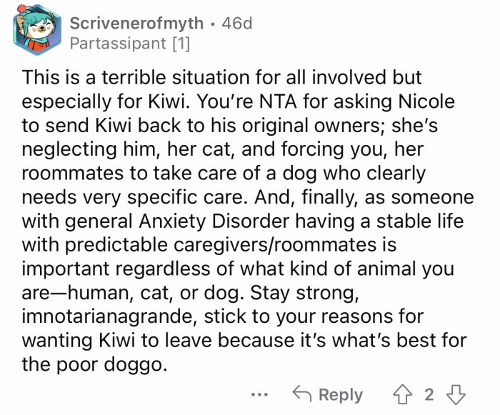 3. Keep fighting not just for your rights but also for Kiwi, who is experiencing neglect from his owner.