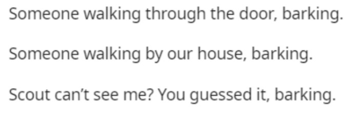 The dogs now basically bark at anything and everything. Seeing a stranger, someone walking through a door, and even when they are trying to find OP—barking, barking, barking.
