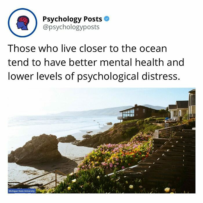 Living close to the ocean is good for your well-being.