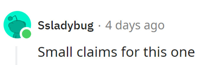 Sounds like the sequel to 'The Case of the Clueless Roommates.'