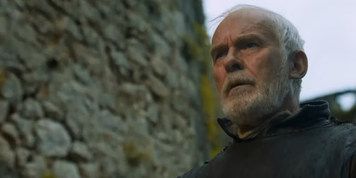 24. Barristan Selmy