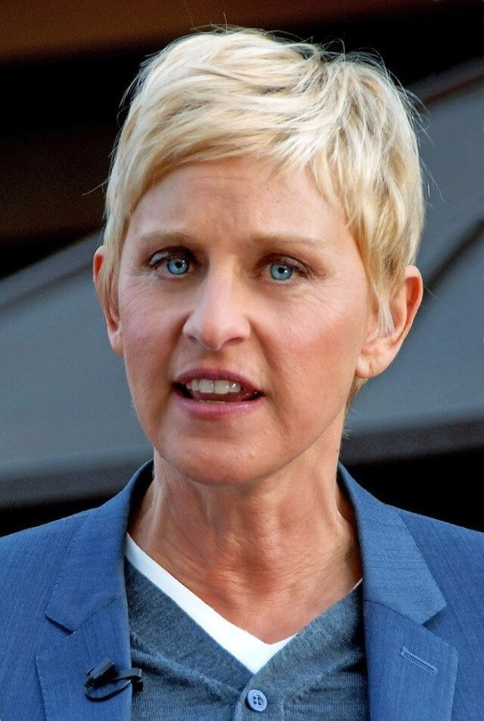 1. Ellen DeGeneres