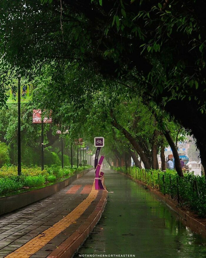 23. New Cycling Lane In Delhi, A Sign Of Things To Come For The Whole City