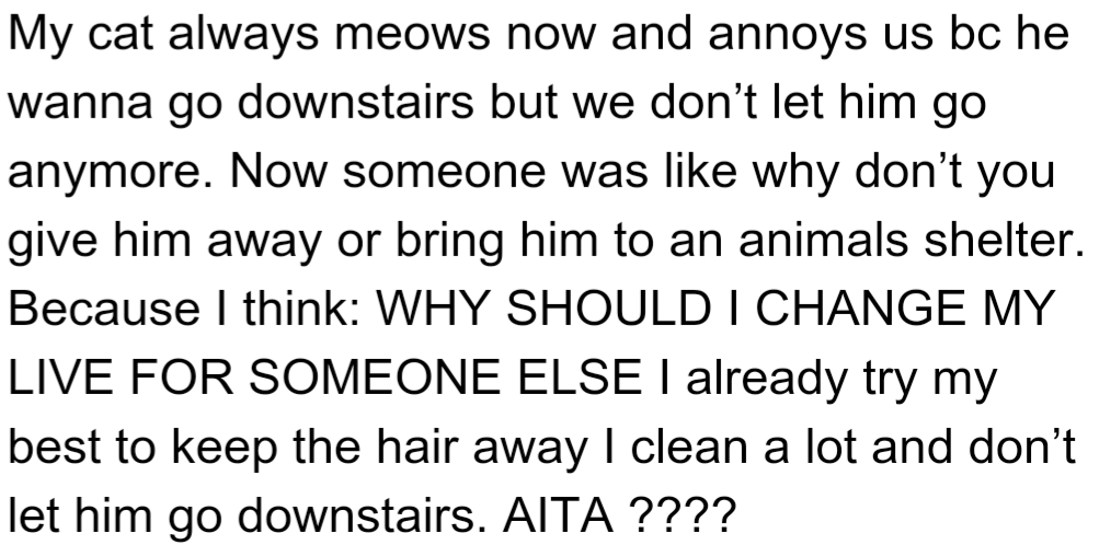 OP's cat meows constantly and wants to go downstairs, but OP won't let it. Some people think OP should give the cat away or take it to a shelter, which OP finds annoying.
