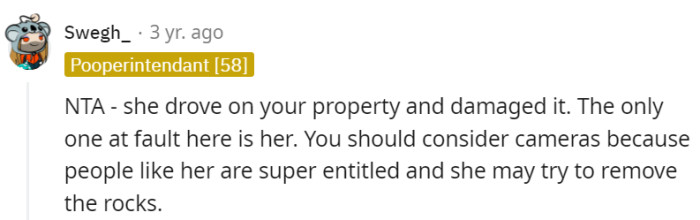 Cameras could definitely help prevent future incidents.