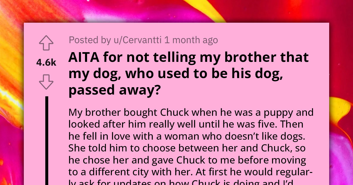 Redditor Faces Brother's Anger For Not Revealing Dog's Death, Even Though Brother Had Abandoned The Dog For 7 Years