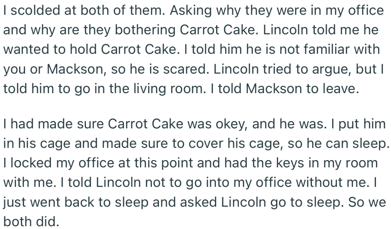 OP walked Lincoln and his friend out of the office where Carrot Cake was kept. She also locked the office to ensure no one disturbed the bird again