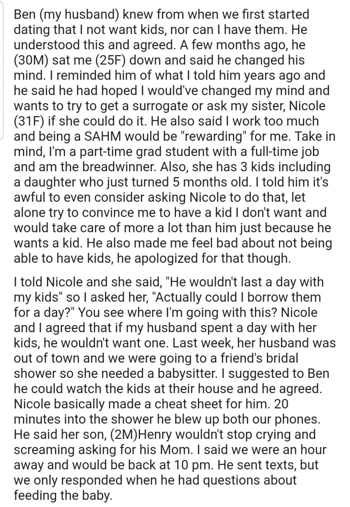 OP and her husband, Ben, agreed to a child-free marriage. However, Ben has changed his mind and now wants kids. OP and her sister, Nicole, are determined to prove to Ben that he can't take care of children.