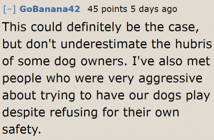 Be careful of these dog owners. They won't respect your dog's space.