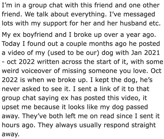 She is included in a chatroom with her friends.