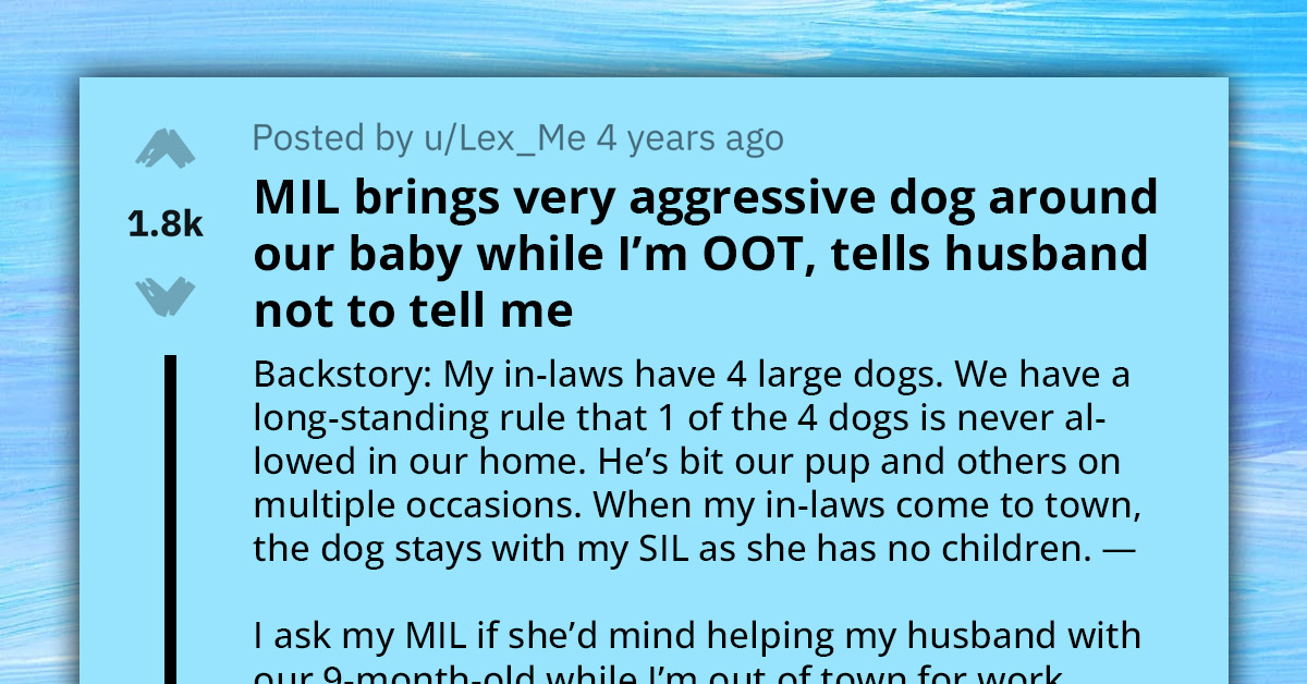 Woman Finds Out Via Home Camera That Mother-In-Law Arrived With Aggressive Dog While Babysitting Her 9-Month-Old