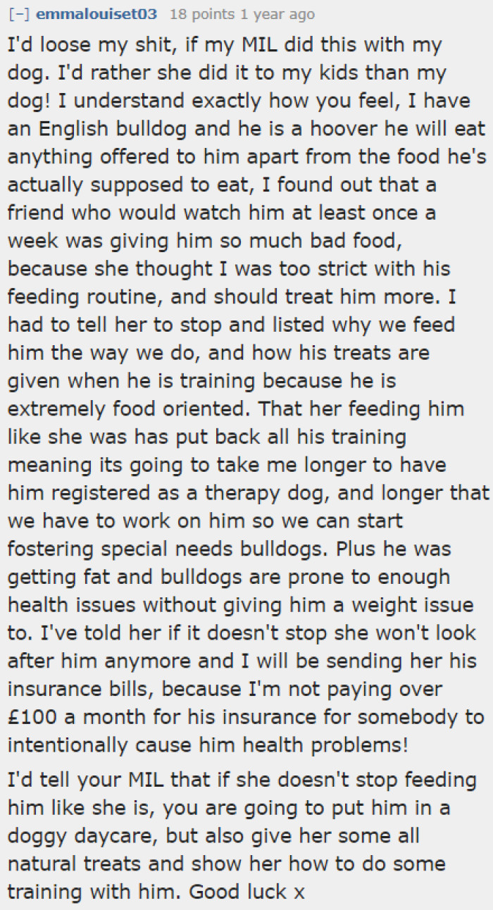 Doggy Daycare Is the Answer If They Still Can't Move Out.