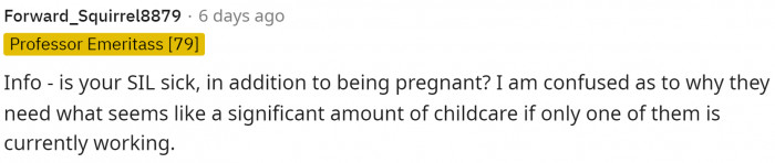 People are starting to wonder about the SIL and why she can't care for the kids.