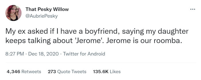 4. My child is also obsessed with our Roomba