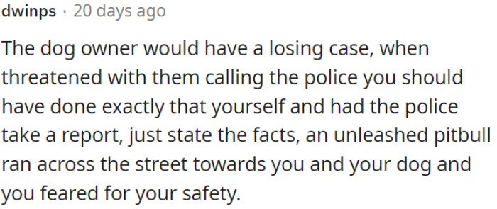 The OP Should Present the Situation Plainly: A Loose Pit Bull Aggressively Approached Her and Her Dog, Leading to Her Feeling Threatened.
