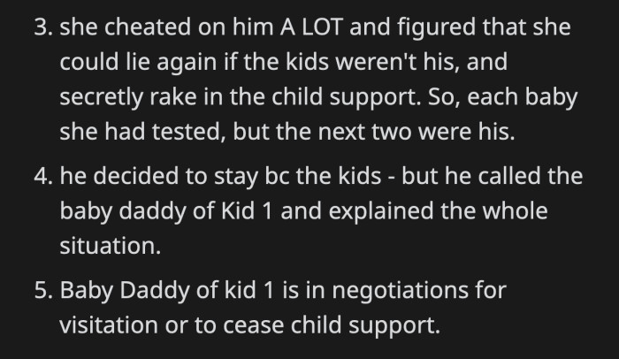 Her BIL's wife is using her kids' child support from their actual fathers as fun money while making her husband pay for everything and lying about it