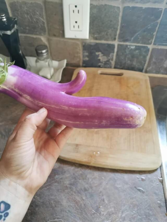 4. Here is another gift from Mother Nature