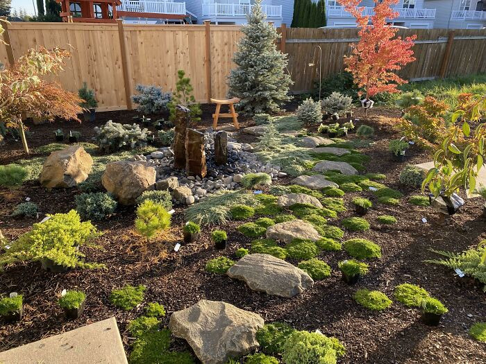 Rock garden focal point.