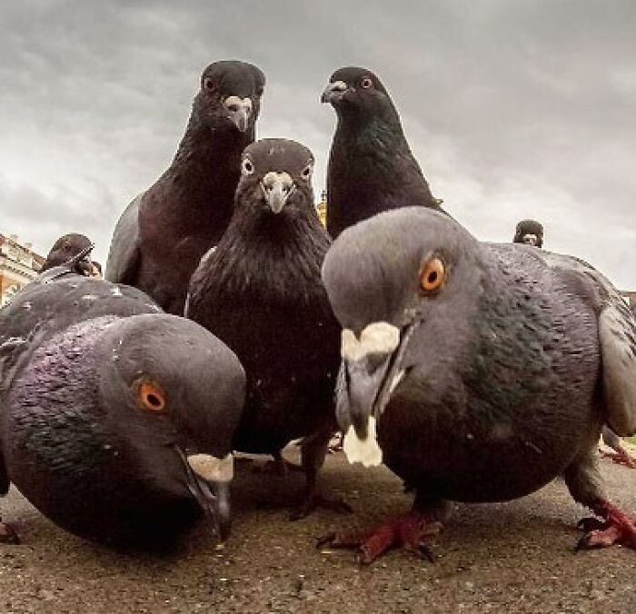 34. What Band Is This?