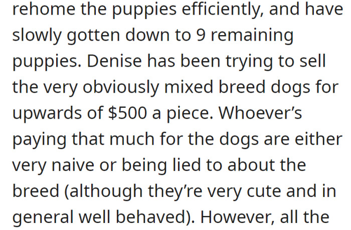 No rehoming plan, 9 puppies left. Denise selling mixed-breed dogs for $500+, but with potential misinformation.