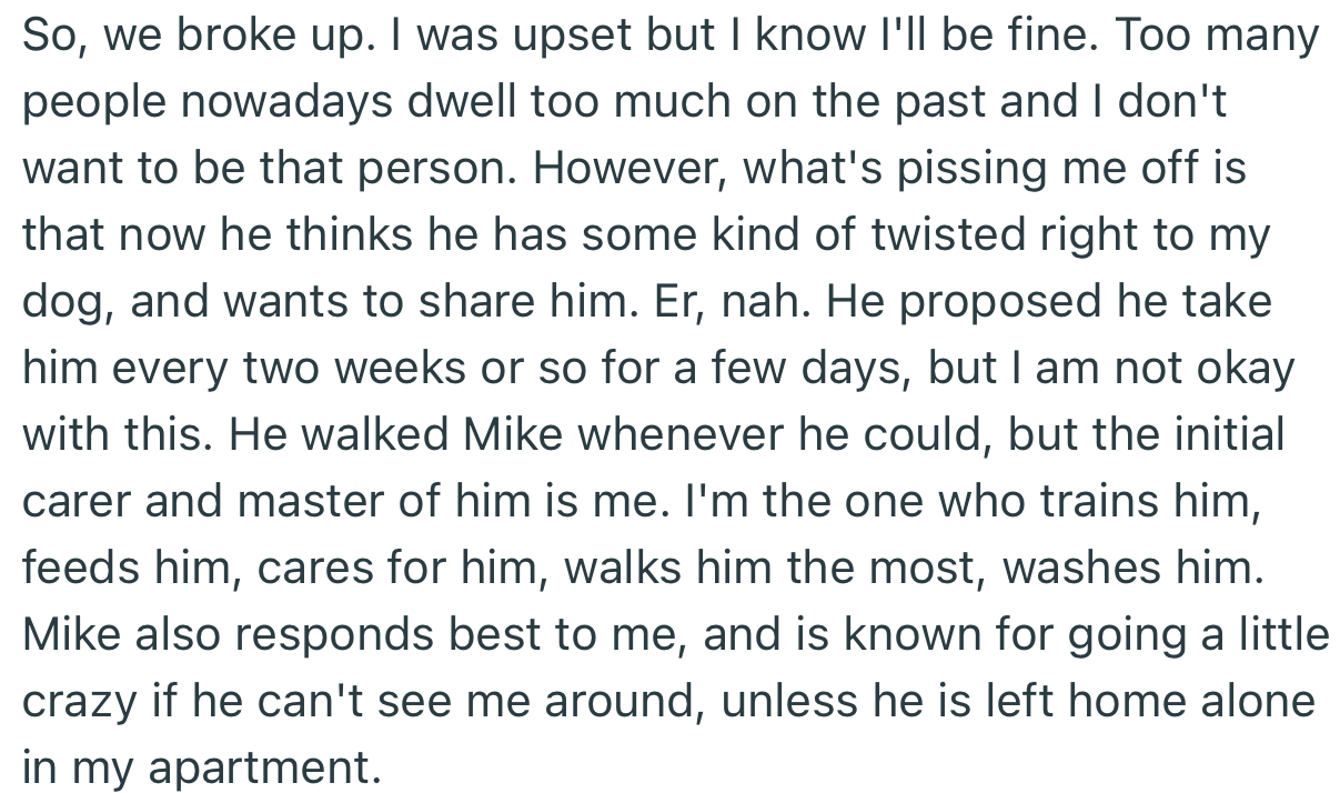 The couple decided to split, only for OP’s boyfriend to try and gain custody of the dog