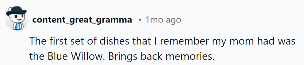 Ah, the Blue Willow, Serving Nostalgia with Every Meal.