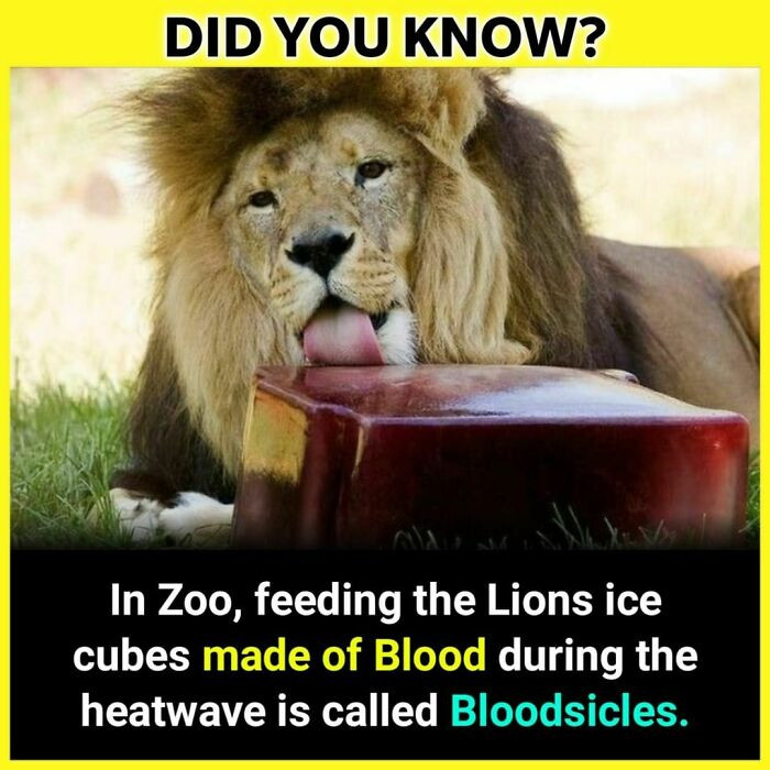 8. Bloodsicles look so delicious...