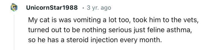 This Redditor’s cat was also vomiting. But it turned out there was little to worry about