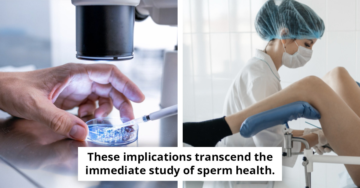 Experts Reveal How a Woman's Uterus Can Detect Unhealthy Sperm and What It Signifies