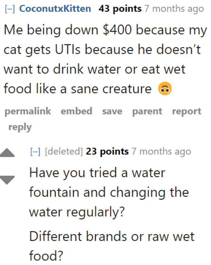 Some cats even get sick because they don't want to drink water.