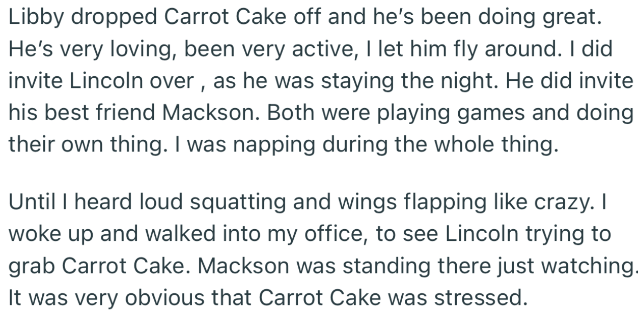 OP invited Lincoln (and his friend) over to spend the night while she watched Carrot Cake. To her surprise, she woke up to see Lincoln trying to grab the bird