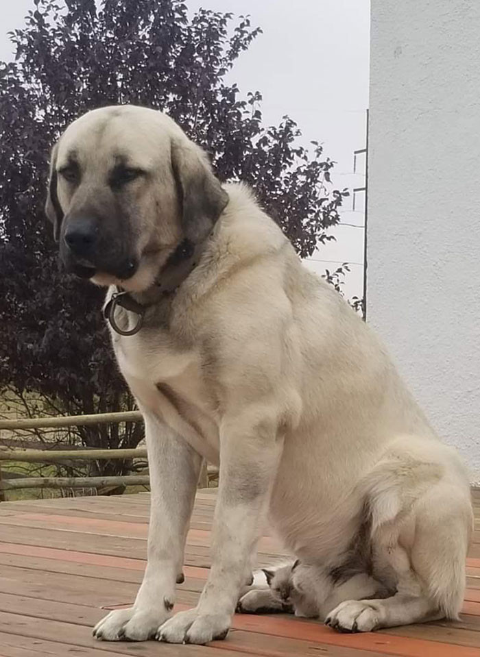 15. Spot the little friend