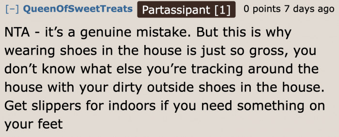 According to this Redditor, while she's not at fault, she needs to stop walking around the house wearing her outdoor shoes.