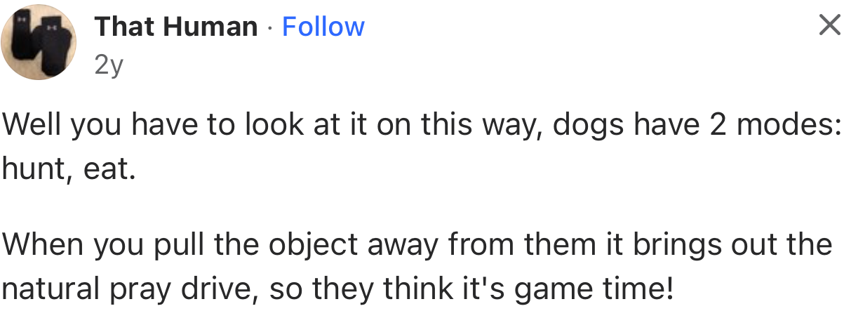 From This User’s Perspective, When You Try to Snatch Something from a Dog, You Activate Its Hunting Instincts