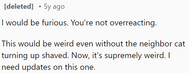 This situation would be strange even without the neighbor's cat showing up shaved.