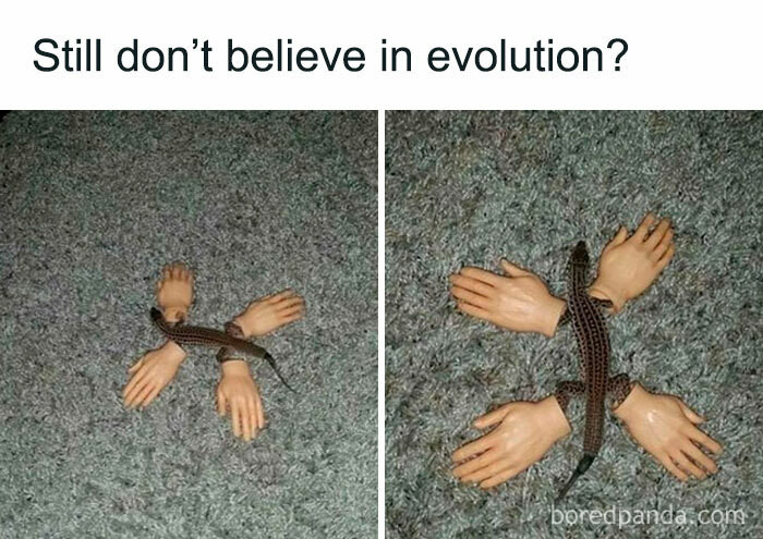 5. Still Don't Believe?