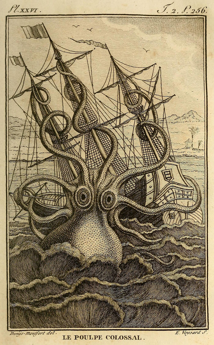 The Kraken