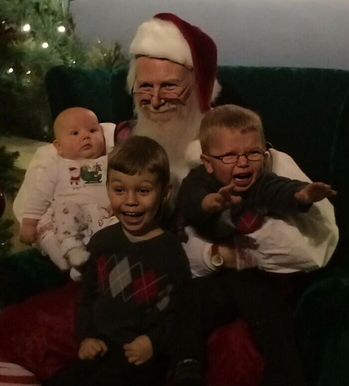 "Wife Called To Let Me Know That She Took The Perfect Christmas Card Photo"
