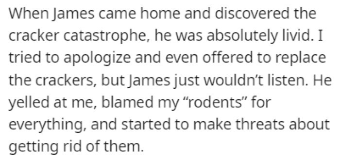 James was furious after coming home and seeing what the ferrets had done