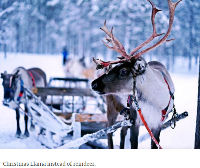 11. Christmas makes all the difference