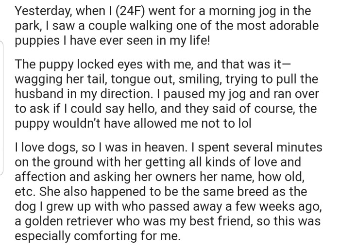 While on a morning jog, OP took time to familiarize herself with a couple and their adorable dogs