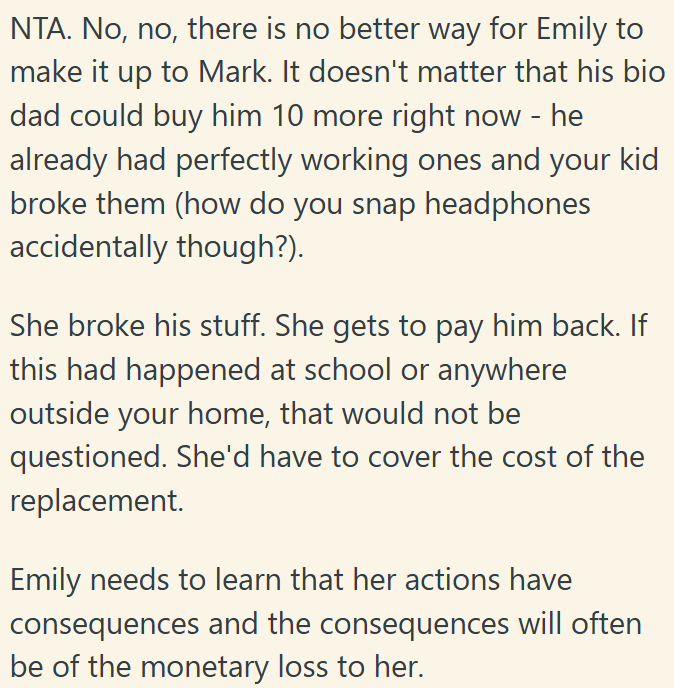 Emily Should Pay for the Headphones She Broke to Learn That Actions Have Consequences.