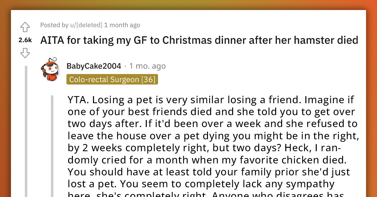 Redditor Insists That His GF Meets His Family For The First Time At A Christmas Dinner Right After Her Hamster Died