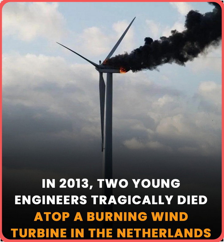 The Piet De Wit Wind Farm Disaster