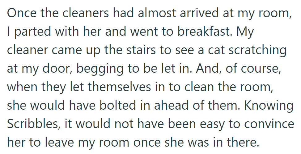 OP left Scribbles at the door and went for breakfast. The cleaner found her scratching to enter, knowing she might dash in during cleaning.