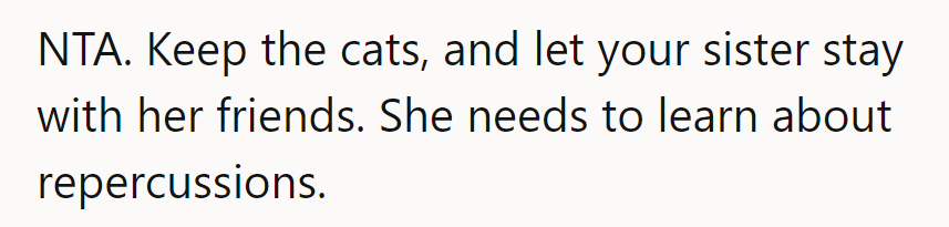 Cats stay, sister finds a new sleepover spot. It's time for her to learn about cause and effect.