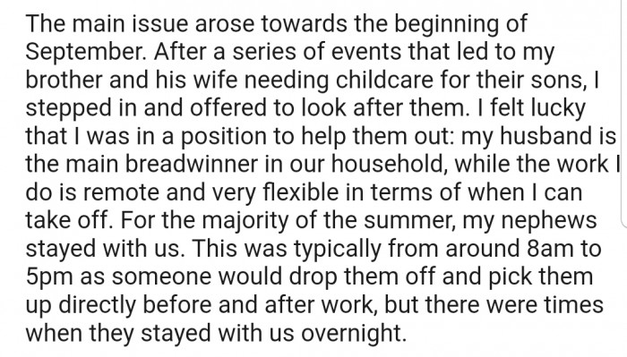 The root of all this fracas started when OP's brother's kids needed childcare, which he and his husband offered all summer